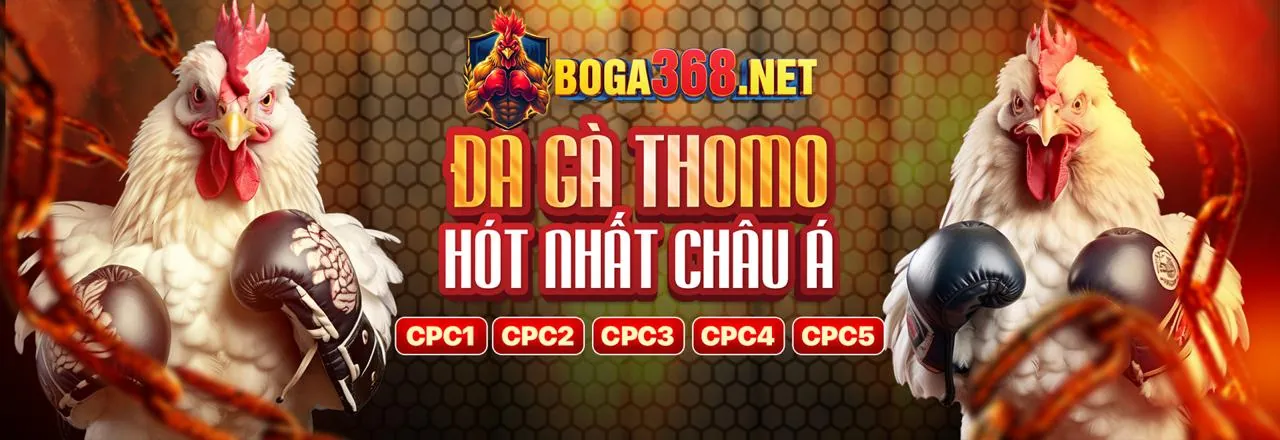 Sứ mệnh và tầm nhìn của ok355 nhà cái